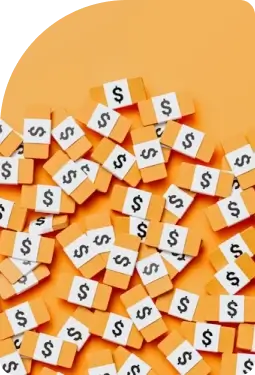 Reduce development costs with efficient and custom-built web and mobile applications